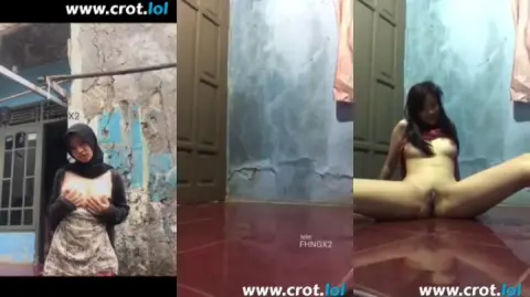 Kolpri Exib Pemula