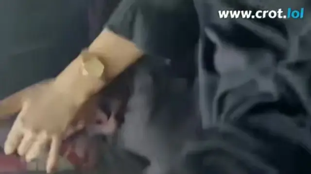 BWI Viral