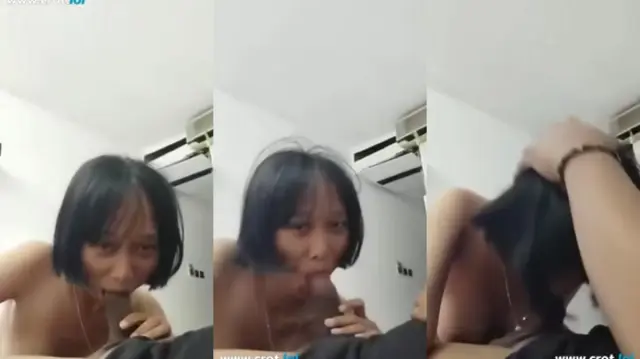 Nonton Animotica 5 1 15 5 27